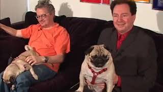 Devo: Live in the Land of the Rising Sun