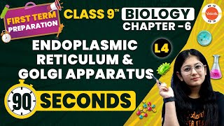 Endoplasmic Reticulum and Golgi Apparatus | The Fundamental Unit of Life | CBSE Class 9 Biology