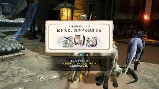 モンハンライズをやる（下手）