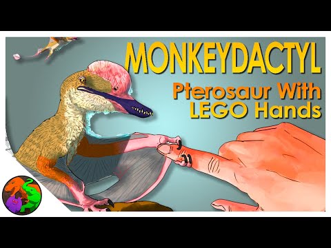 Monkeydactyl New Pterosaur Described With Opposable Thumbs