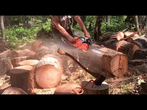 How to keep your chainsaw sharp while bucking logs in the rocks