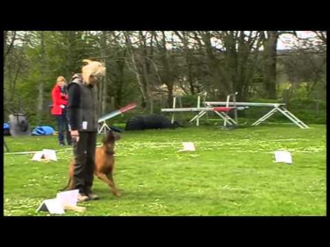 Videoprojekt 2014 04 13 2 Versuch