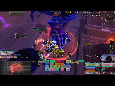 Phoenix vs Vexiona - Feral Druid PoV [Mythic Ny'alotha]