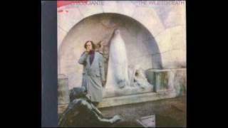 03 - John Frusciante - Time Runs Out (The Will To Death)