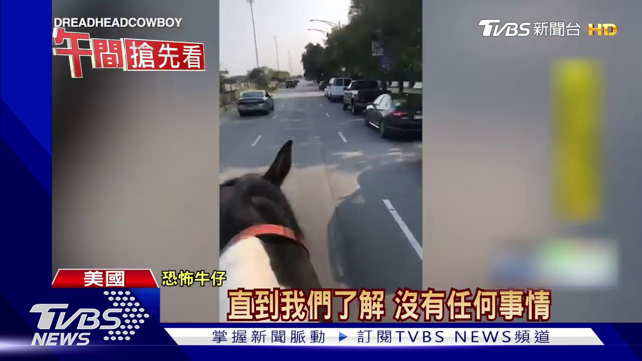 芝加哥「恐怖牛仔」 高速公路騎馬大塞車