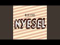 Nyesel (Acoustic Version)