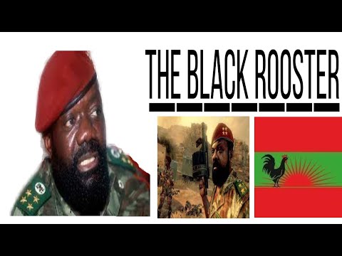 Jonas Savimbi Rebel, Revolutionary