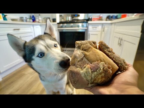 download lagu mp3 mp4 Buy Green Tripe, download lagu Buy Green Tripe gratis, unduh video klip Buy Green Tripe