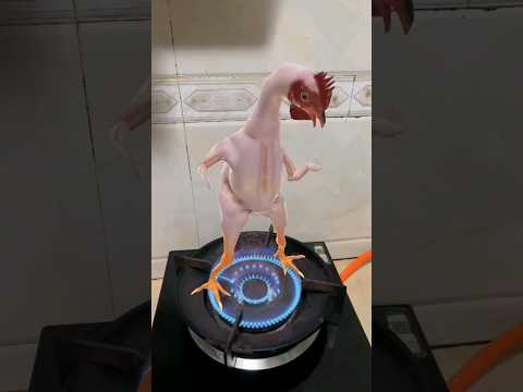 Chicken bacteria under the microscop 😱 #shorts #reels #bacteria #microscope #ytshorts