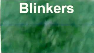 Real Grey Sighting 18 (TPK Enhanced)