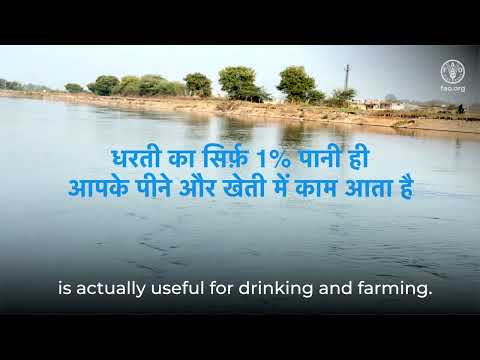 Water Conservation and Smart Irrigation