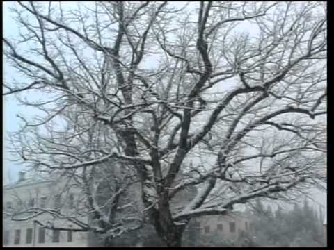 Široki Band Aid -  Volim te grade moj