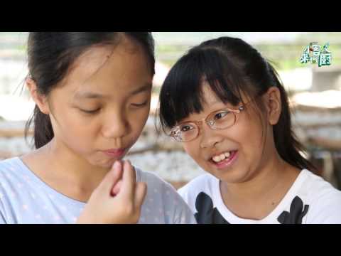 《小客人來做廚》 Ep 14：腐乳珍珠丸 VS 五色團圓捲