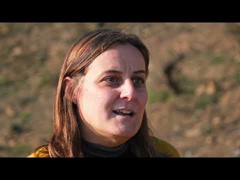 Els Noms de la Terra - Sandra Doix