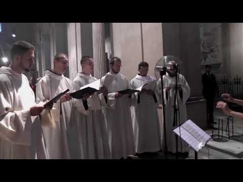 Alleluia - Adducentur