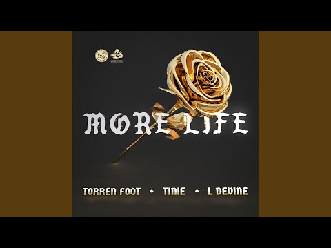 More Life (feat. Tinie Tempah & L Devine) (Extended Mix)