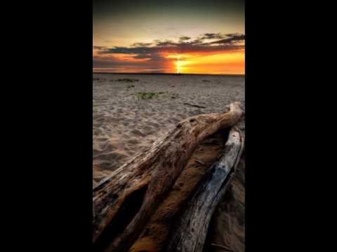 Nic Chagall - This moment (Progressive Remix)