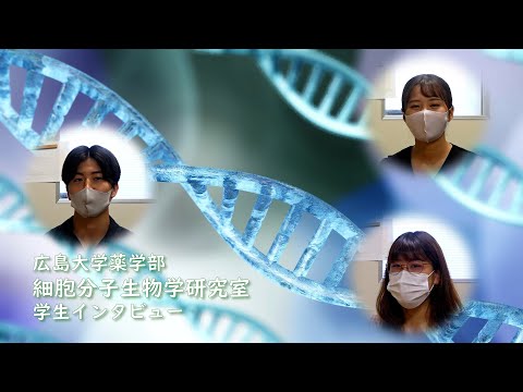 広島大学薬学部 在学生からのメッセージ「細胞分子生物学研究室」