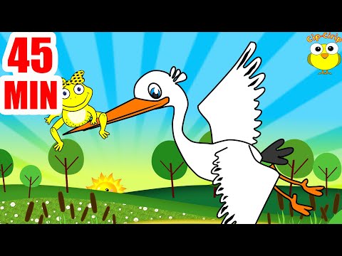 Barza si broscutele - Cantece pentru copii (desene animate) | Cip-Cirip