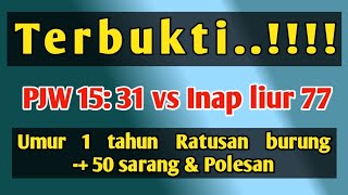 Download lagu PJW Old vs Liur 77 umur 1 tahun memberikan bukti nyata. mp3 Download lagu PJW Old vs Liur 77 umur 1 tahun memberikan bukti nyata. mp3