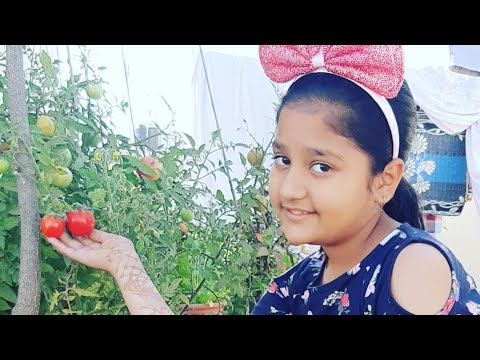 #organic kheti |part-2| vihana the milkyway