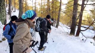 Sortie nature dans le Queyras