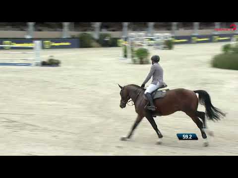 Coros 3 WM Lanaken 2021, Hengst v. Cornet Obolensky-Arpeggio, geb.2015, Umlauf Finale