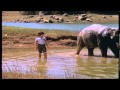 Main Aur Mera Hathi Main Aur Mera Hathi
