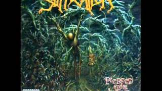 Suffocation - Torn Into Enthrallment