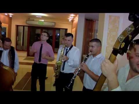 Hej tam wcora z wiecora - Titbit i przyjaciele