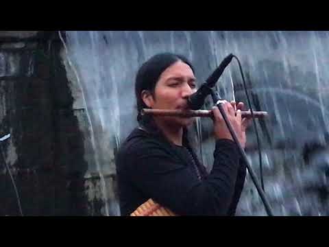 Hector Loza Music from Ecuador