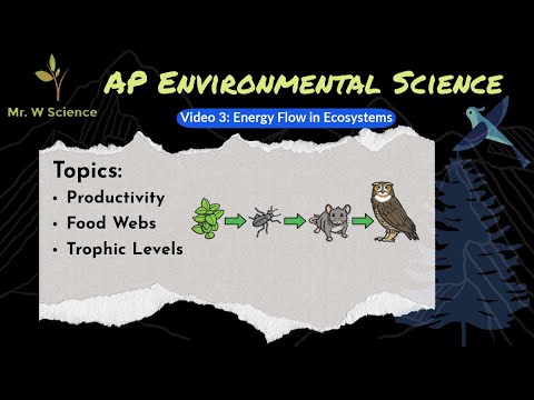 Video 3: Energy Flow in Ecosystems (APES Unit 1 - Living World)
