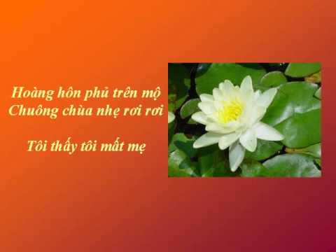 Mất mẹ - Thùy Dương