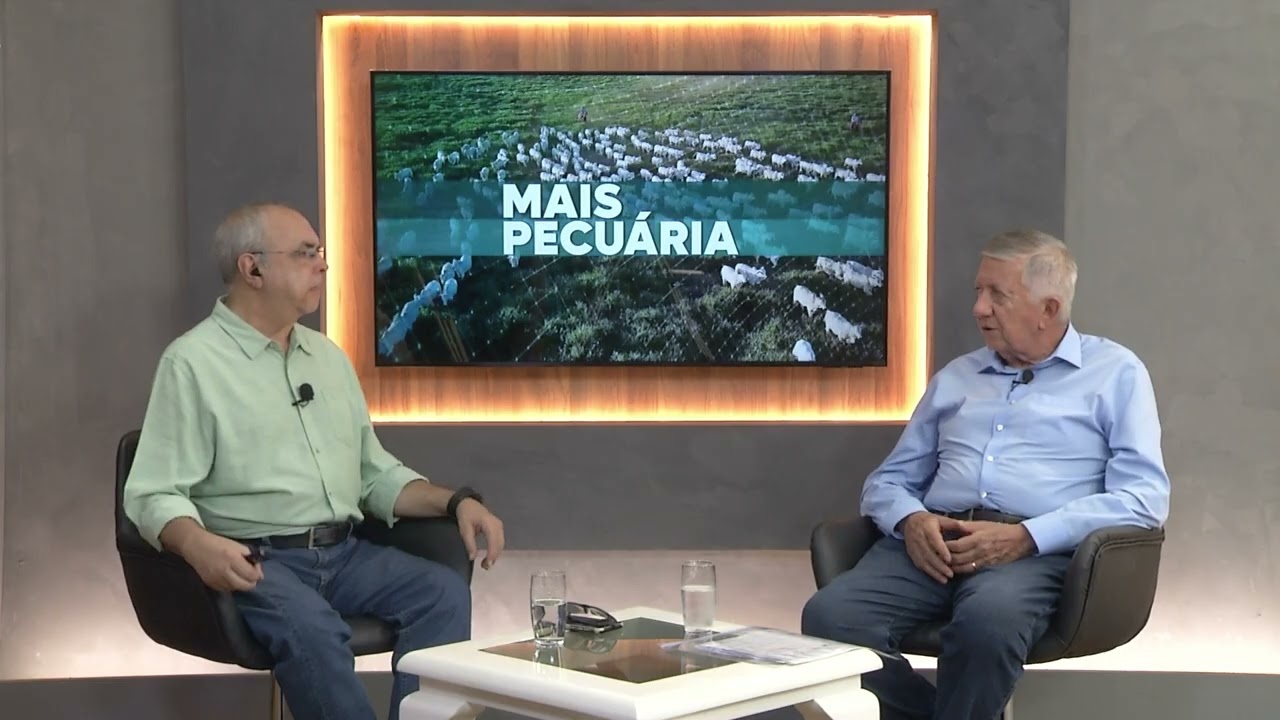 Exportação de carne bovina à China tem cota de 1,1 milhão de ton