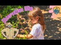Children S Nature Hike 5 Senses For Kids