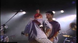 Mamonas Assassinas - Jumento Celestino AO VIVO MTV