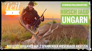| Rothirsch | Sauen | Ungarn | Johannes auf Rothirsche in Ungarn | Schwarzwaldhunters | Teil 1 |