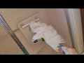 Onni Cockatoo Finally Took A Big Boy Shower
