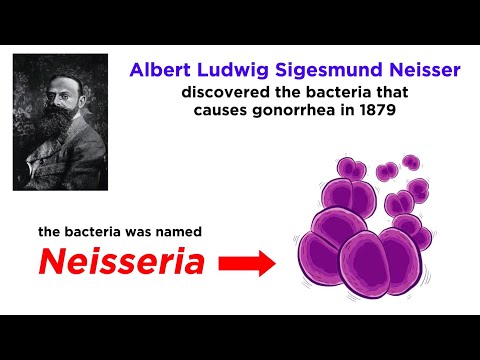 Gonorrhea: Neisseria gonorrhoeae