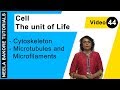 Cell The Unit Of Life NEET Cytoskeleton Microtubules And Microfilaments Neela Bakore