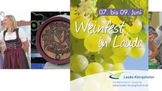 preview picture of video 'Weinfest Alt-Lauda 2013'