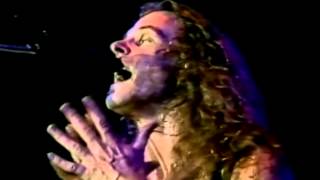 Ted Nugent Wang Dang Sweet Poontang