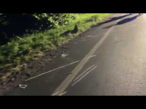 Incidente mortale a Savignano