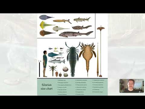 GLG102IN Online - Unit 10 Lecture Section 4 - Silurian Period v2