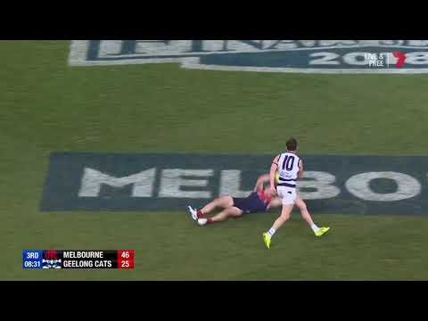 Joel Selwood costs the Cats