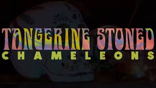 Tangerine Stoned – “Chameleons”