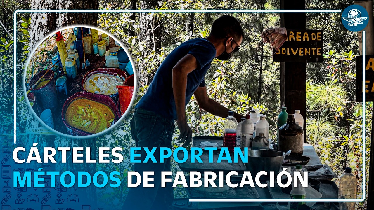 Cárteles mexicanos, líderes en producción de metanfetamina; transfieren su conocimiento a Europa