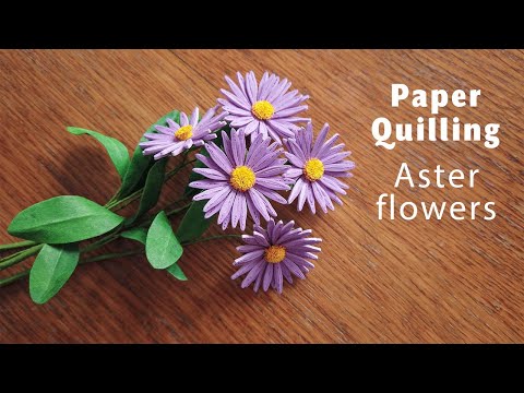 Aster flowers DIY - Autumn Paper Quilling Art