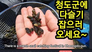 청도군 다슬기 축제를 준비 할테니 놀러 꼭 오세요~ 수자원공사는 반성하세요~