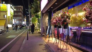 Night Walk in Tokyo Ueno, Japan, Relaxing Walk, Walking Tour, Travel 夜の上野・仲町通りをお散歩！御徒町・歓楽街！